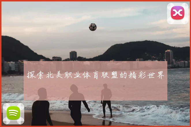 探索北美职业体育联盟的精彩世界